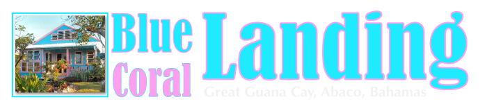 Logo Blue Coral Landing