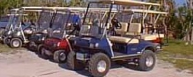 Golf cart rentals